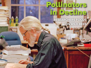 The Wildlife Professional
